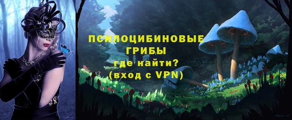 шишки Липки