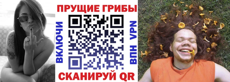 Псилоцибиновые грибы GOLDEN TEACHER  MEGA зеркало  darknet формула  Хадыженск 